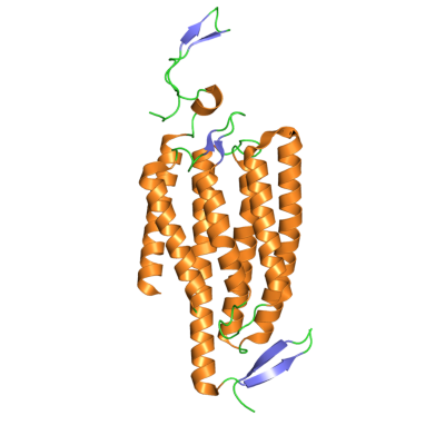2016-08-channelrhodopsin-crystal-structure.png