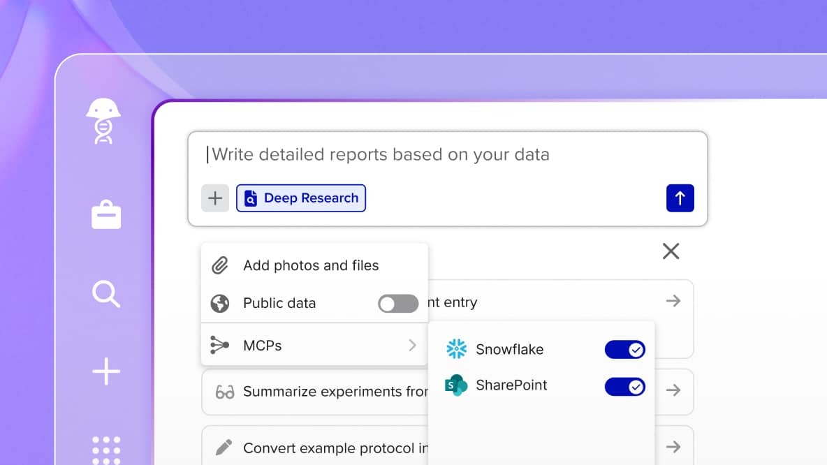 MCP Client