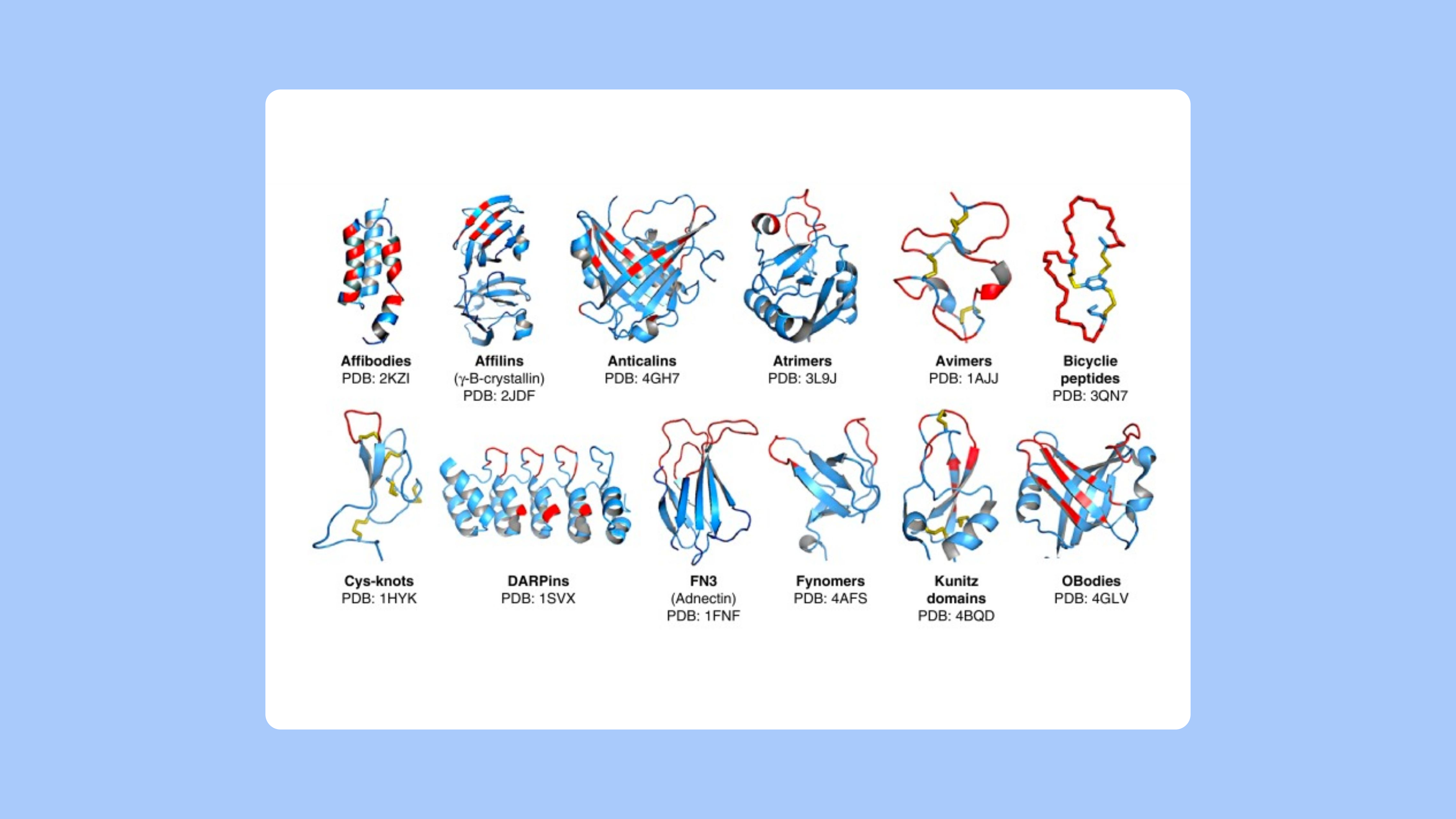Pipebio - Non-antibody scaffolds and peptide therapeutics - Image 1
