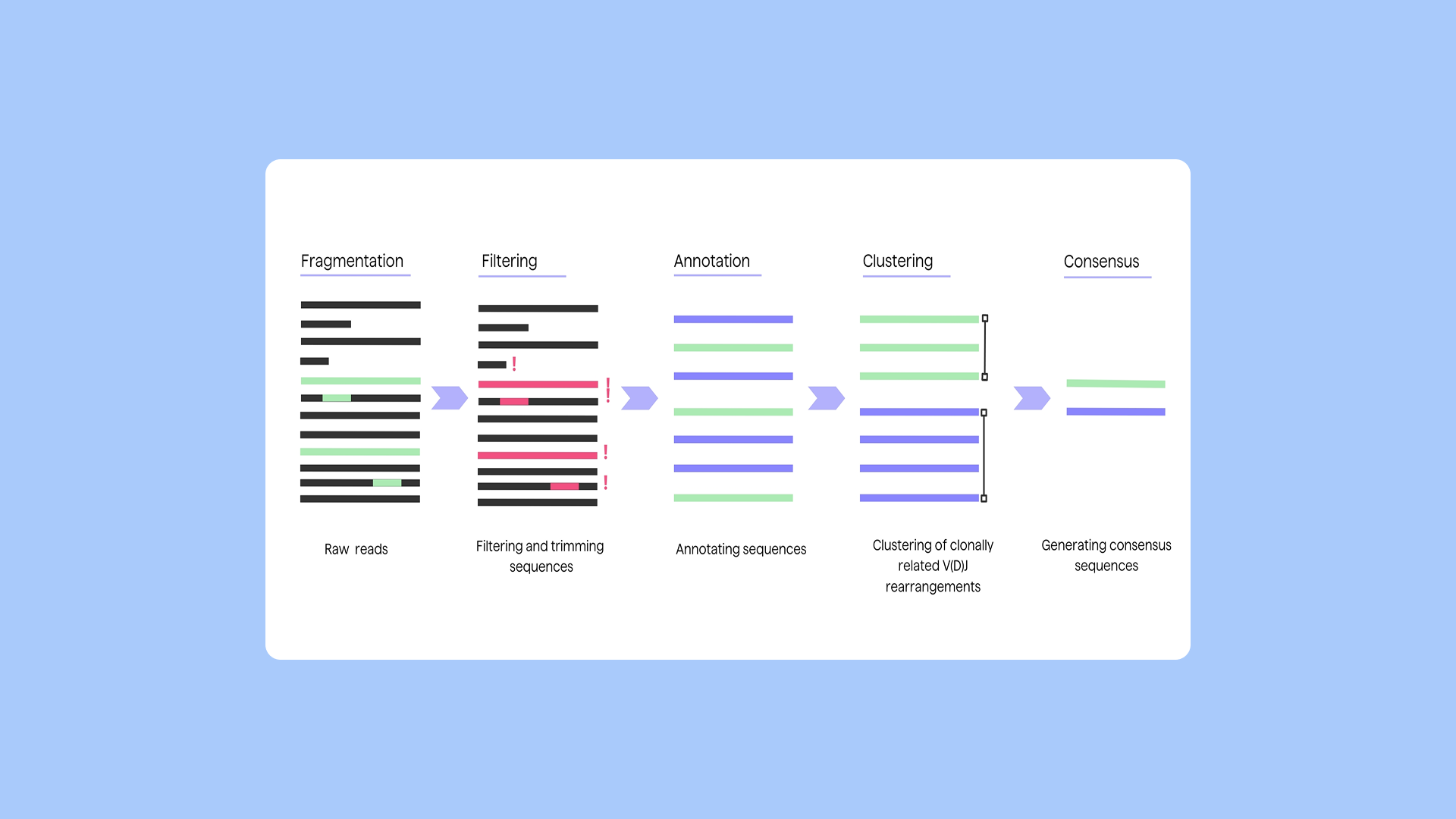 PipeBio - Native heavy-light chain pairing of antibodies with NGS - Image 3