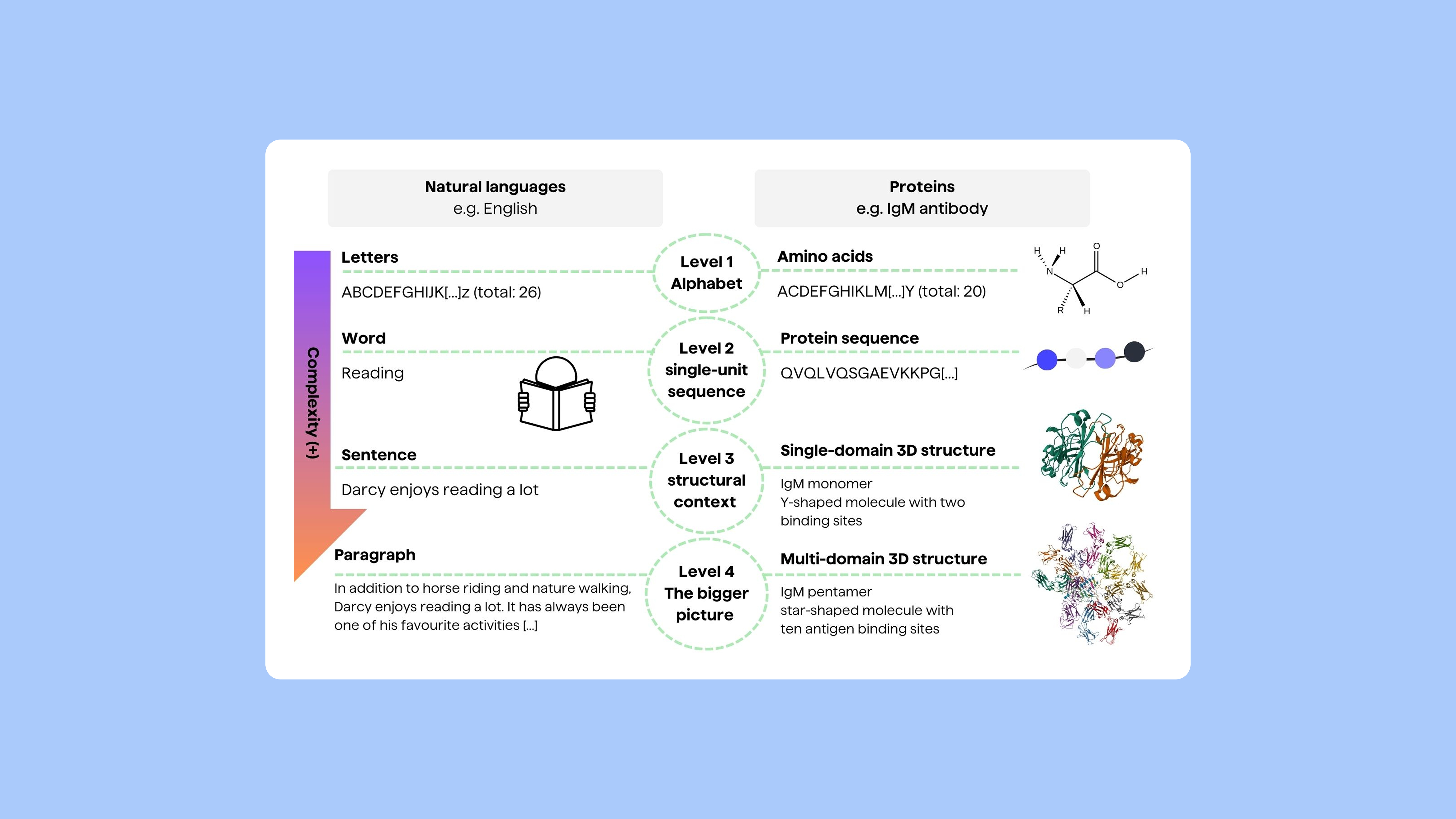 Pipebio - Protein language models: promises, pitfalls and applications - Image 2