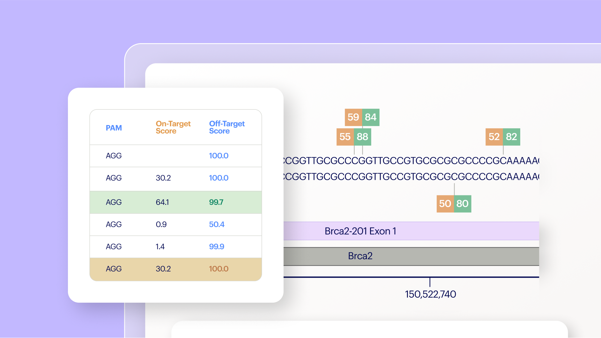 What to Consider When Planning a Gene Knockout Experiment with CRISPR Blog Image