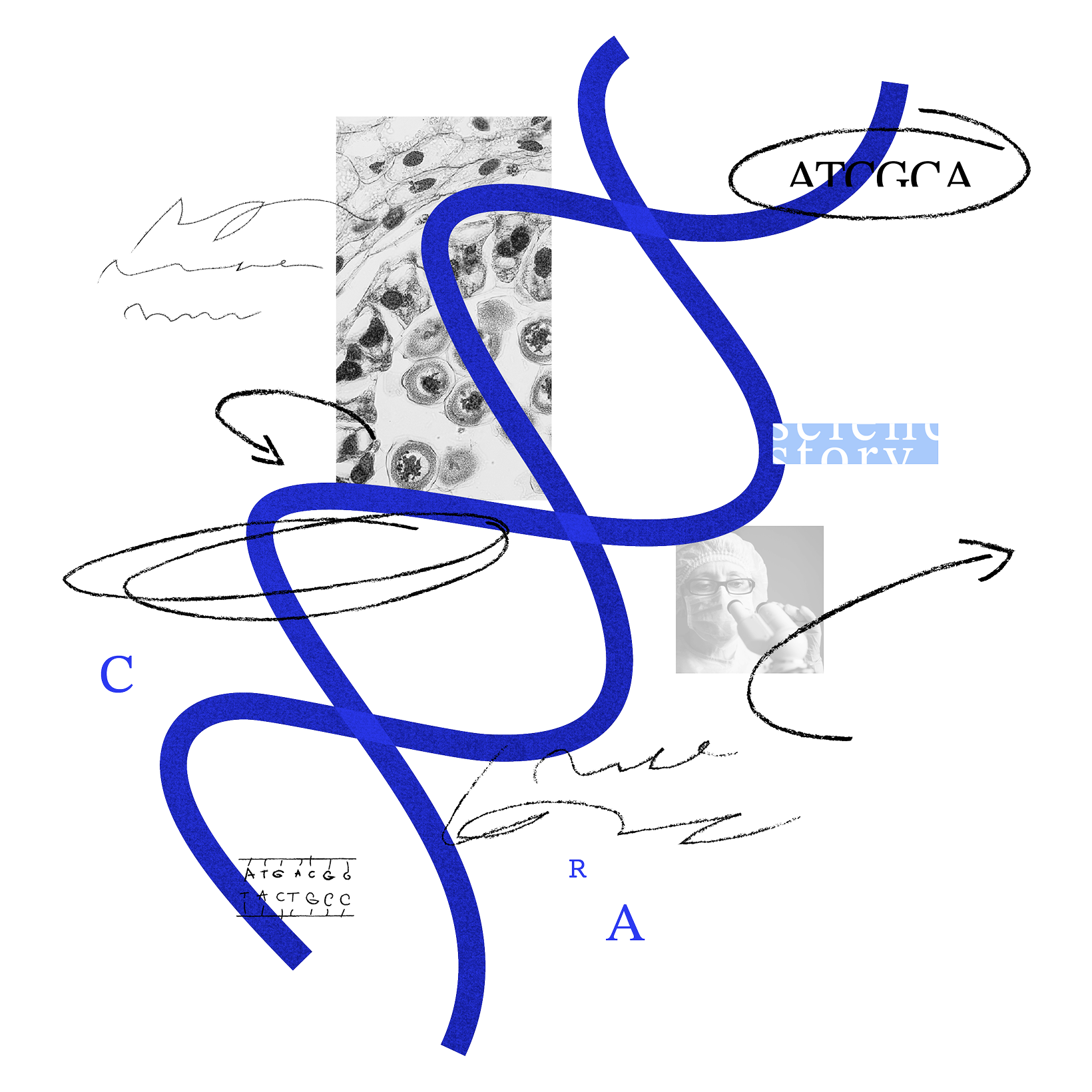 A blue illustration of a double helix