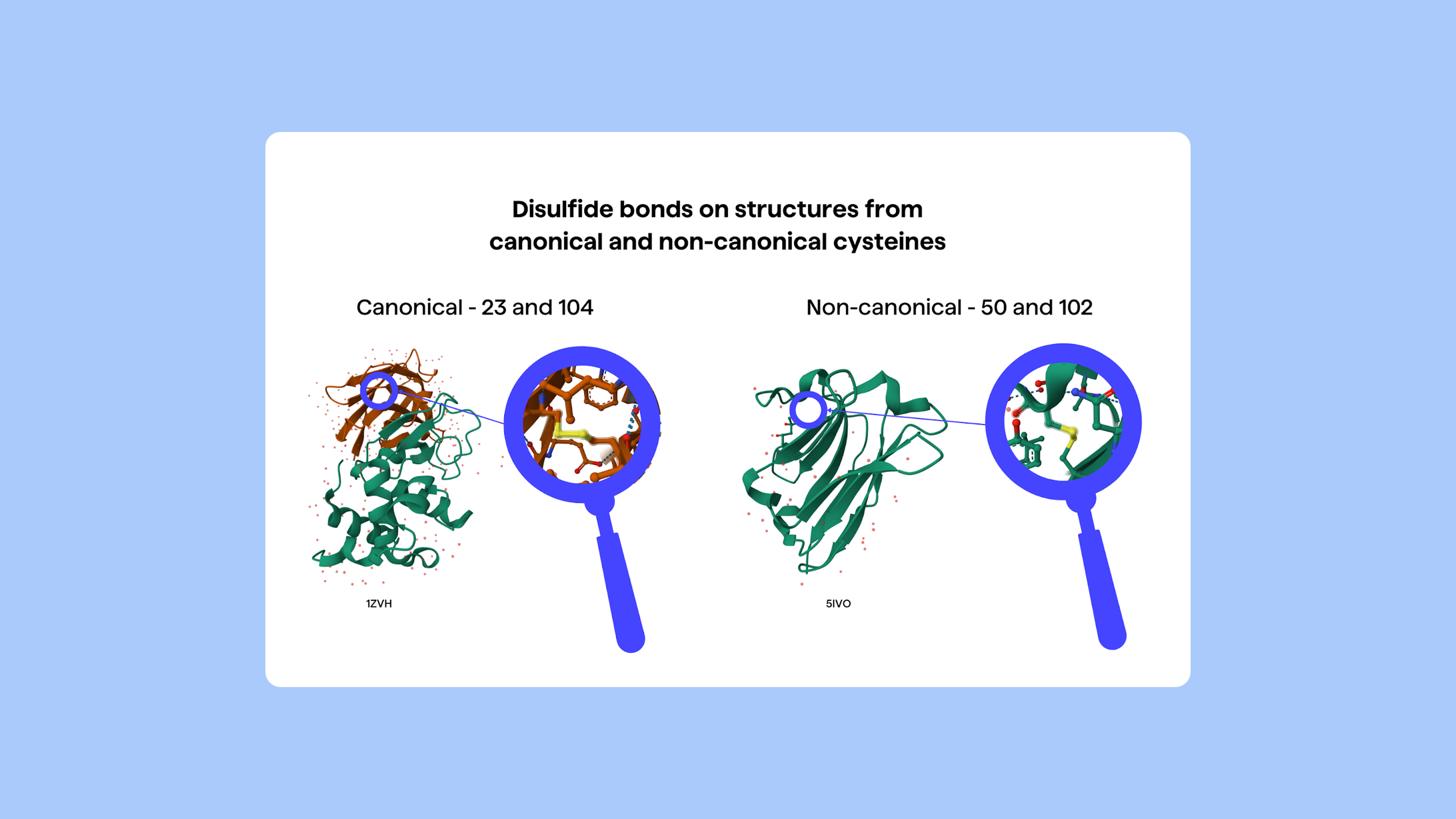 PipeBio - Non-canonical cysteines in antibody repertoires: from camelids to humans - Image 1