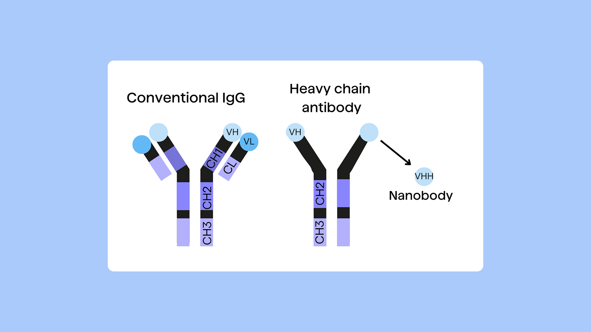 PipeBio - Landscape of Camelid antibodies - Image 2