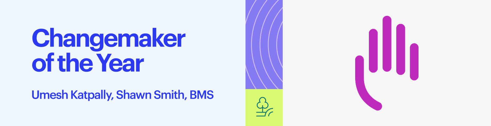 Changemaker Award - BMS image 