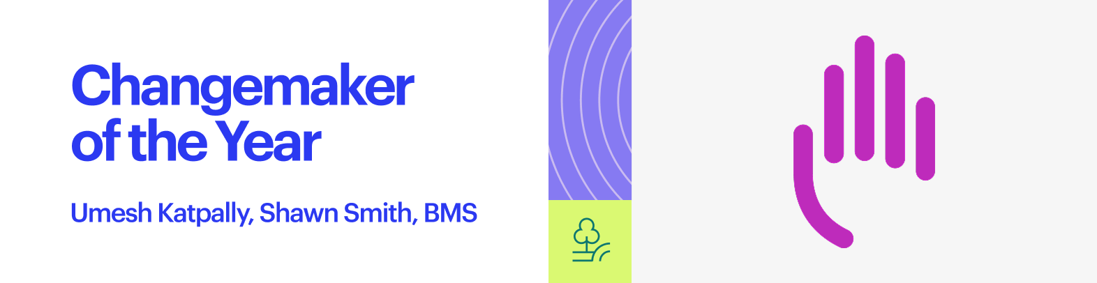 Changemaker Award - BMS image