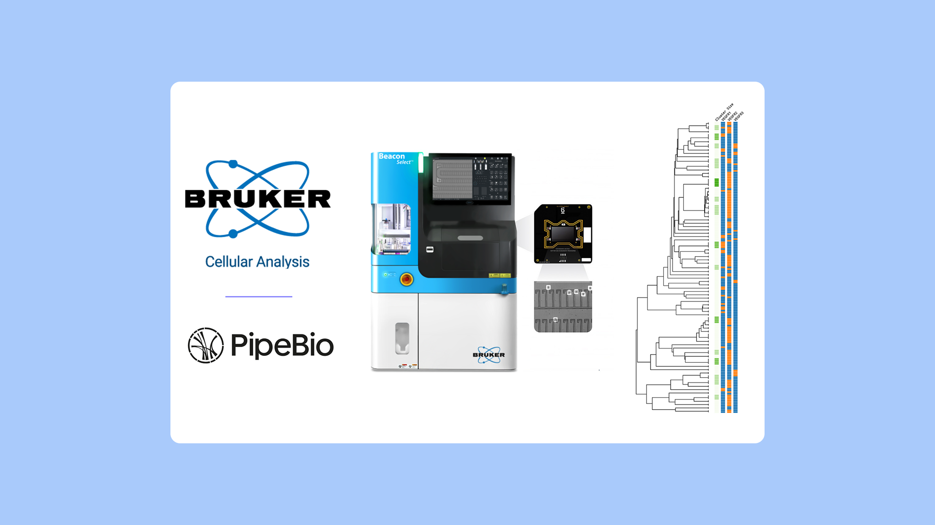 Bruker Cellular Analysis Beacon Data in PipeBio Software - Blog image 1