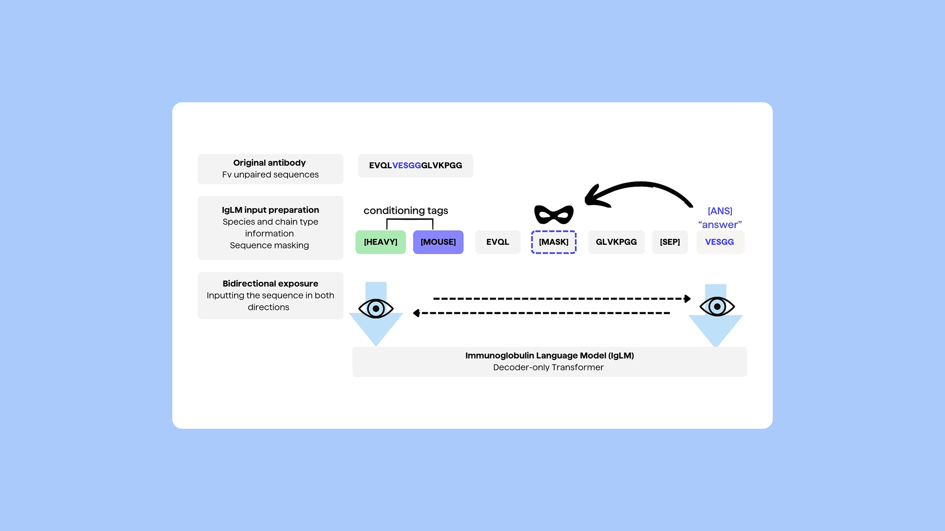 PipeBio - A model for generating, infilling and diversifying antibody sequences - 12 Image 1 (1)