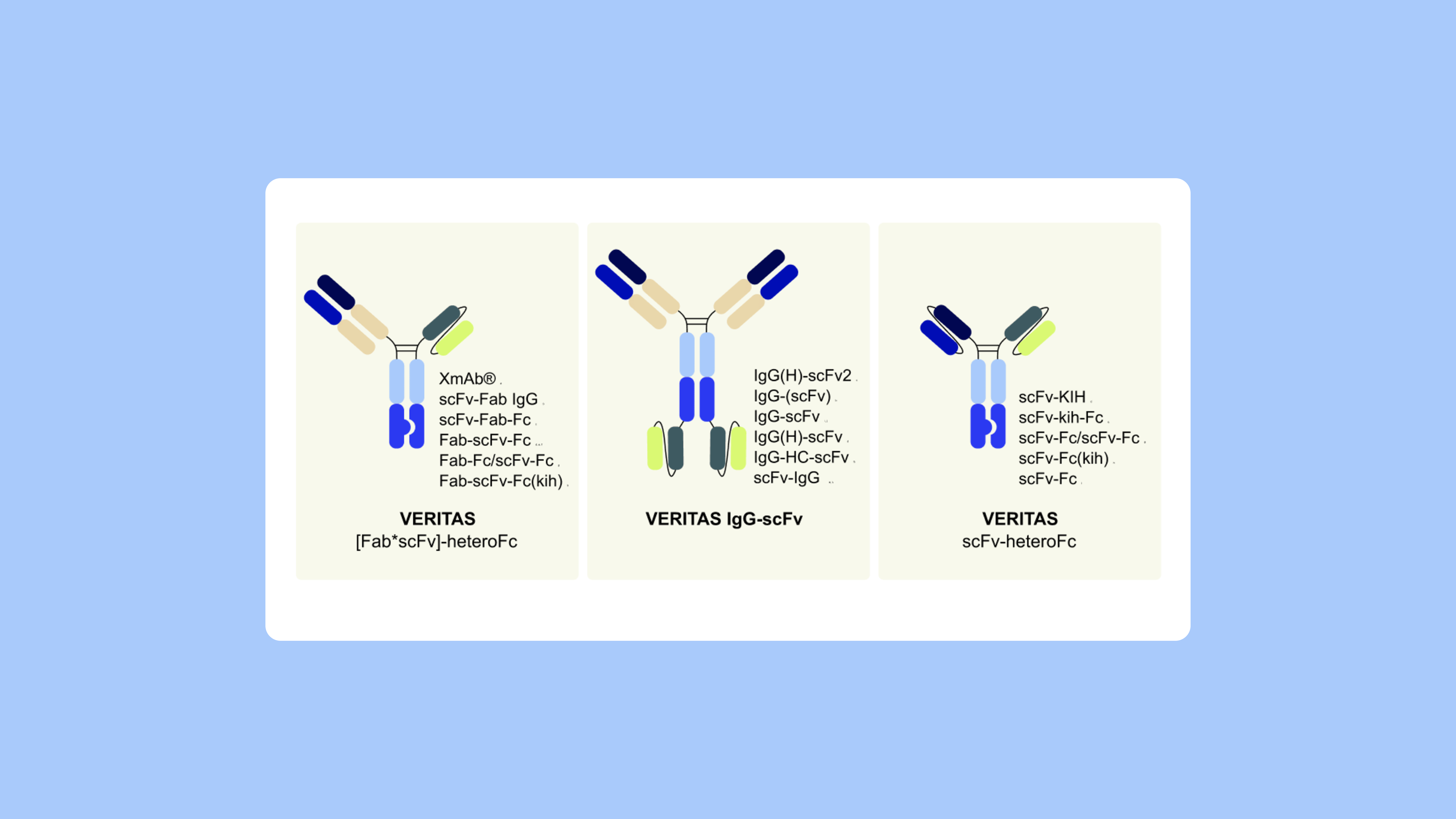 Pipebio Image 4 - Standardizing antibody therapeutic nomenclature: Why it matters