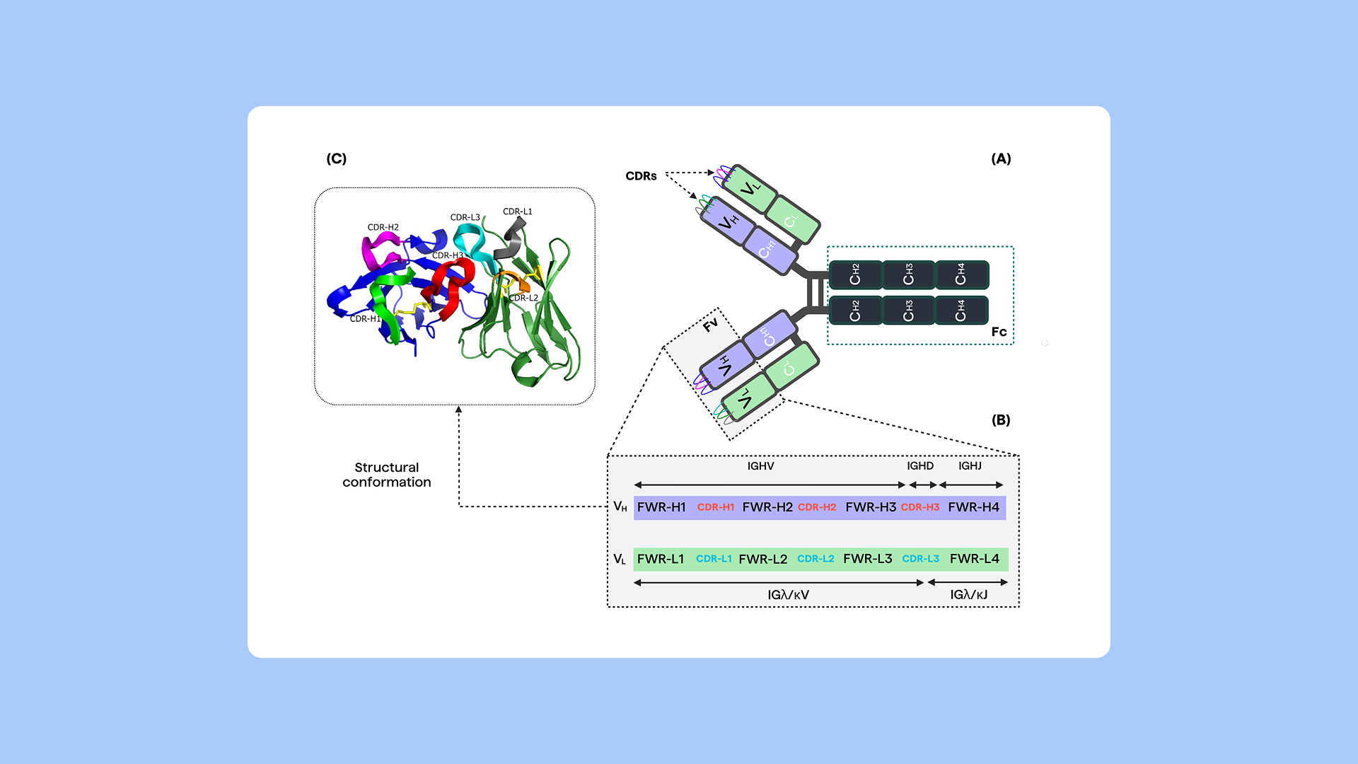 Predicting antibody structure and developability: Tools, opportunities and challenges - Blog image 2
