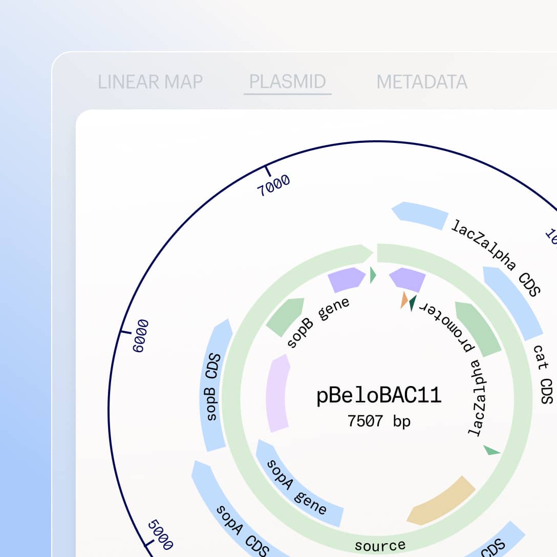 Bioresearch Belo wheel