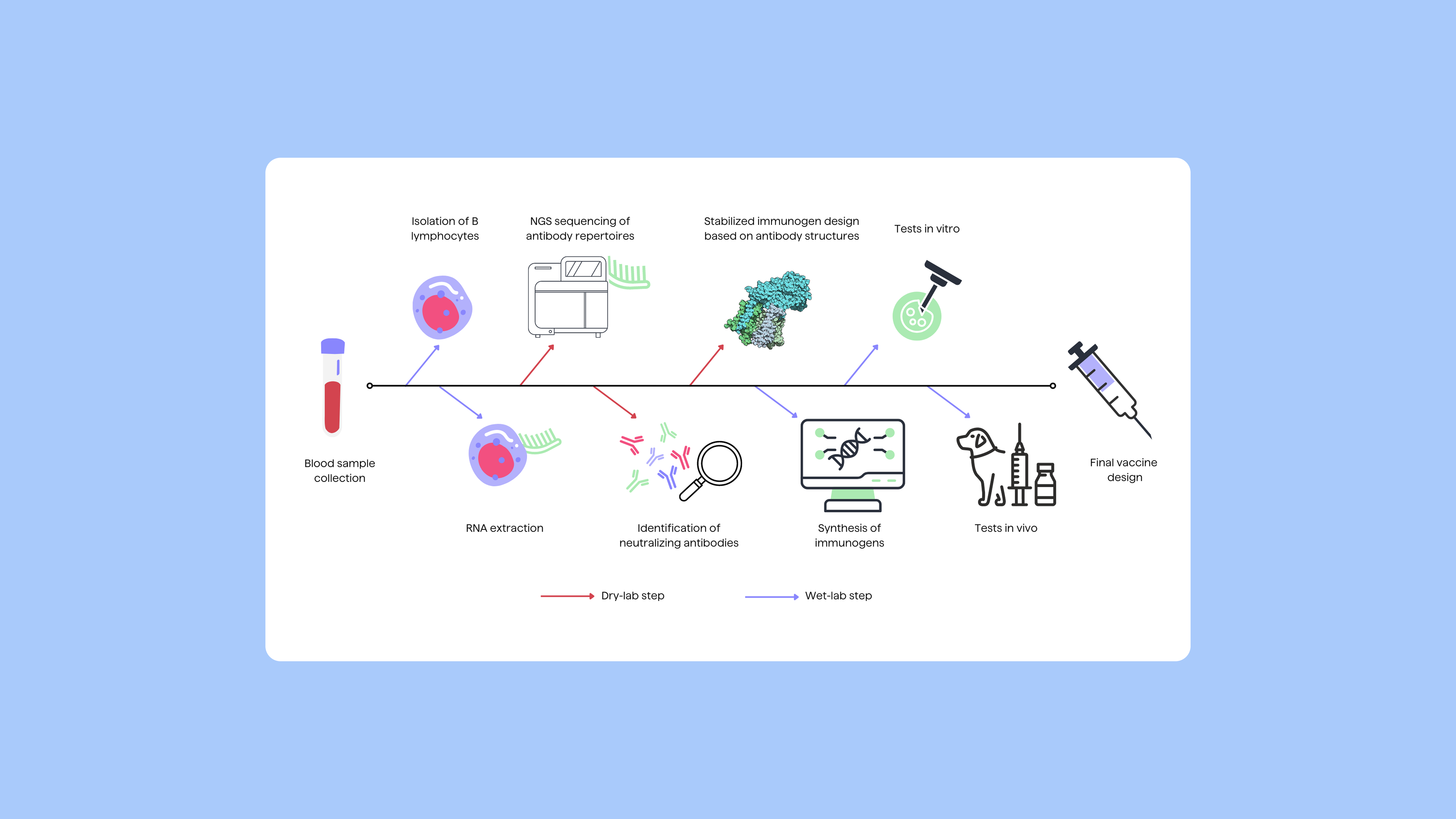 Pipebio Image - Figure 1. Vaccine design pipeline using NGS and bioinformatics