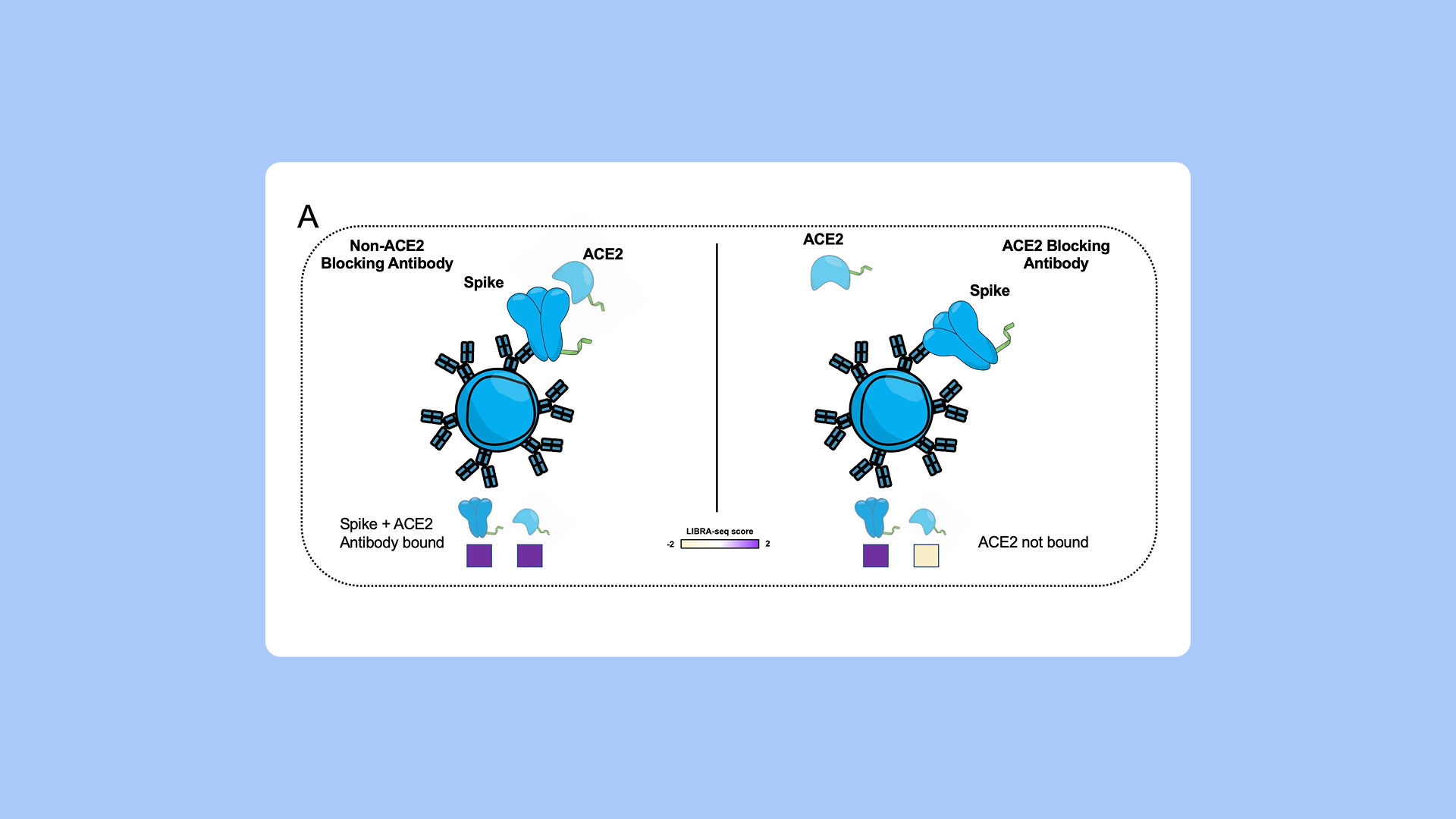 PipeBio - LIBRA-seq: Accelerating antibody discovery - Image 1
