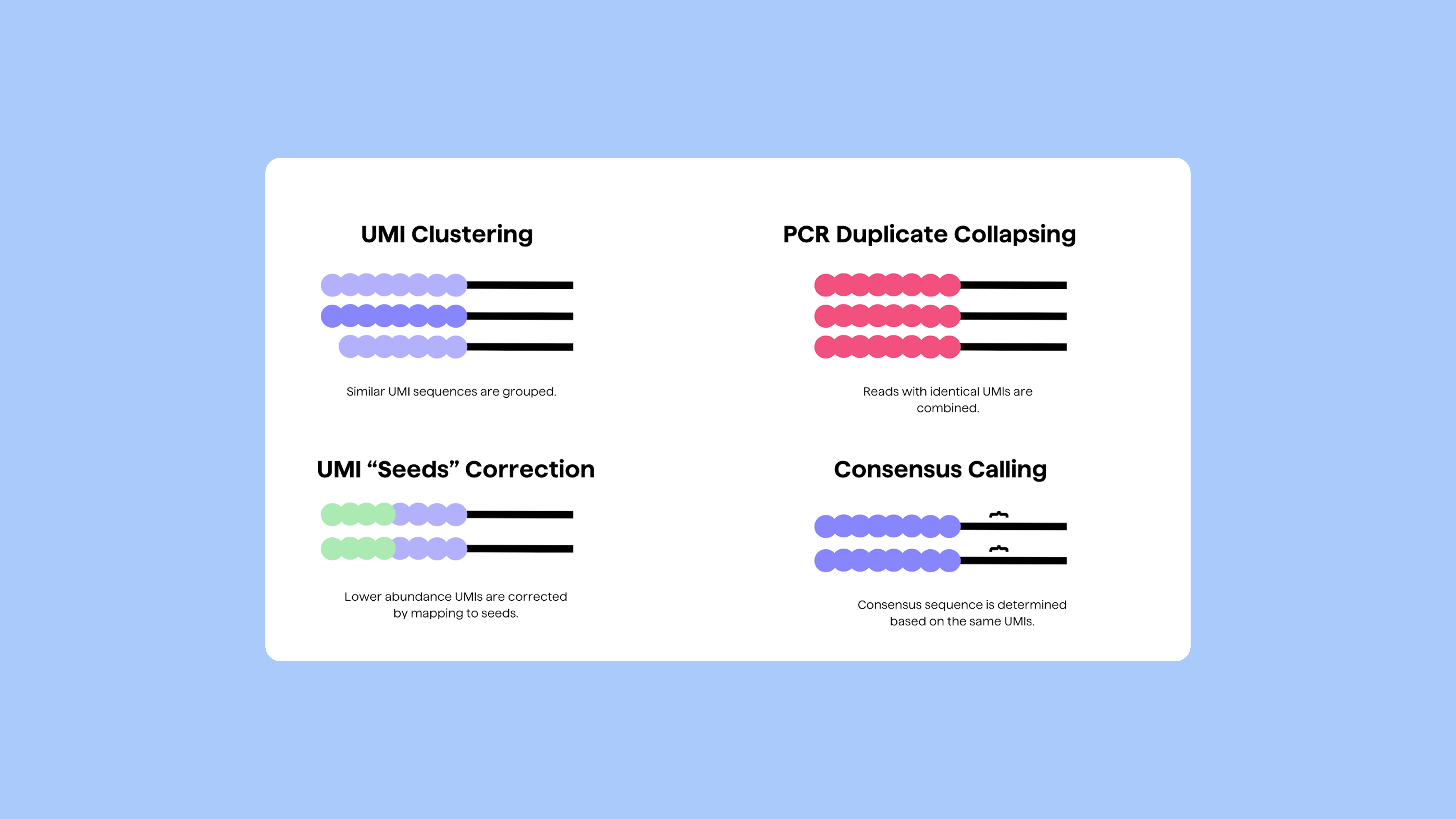 Pipebio Image - Figure 3 Similar UMI sequences are first grouped