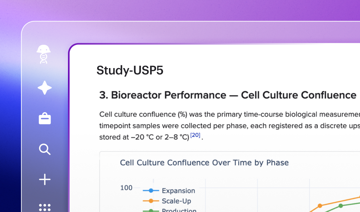 decision support placeholder