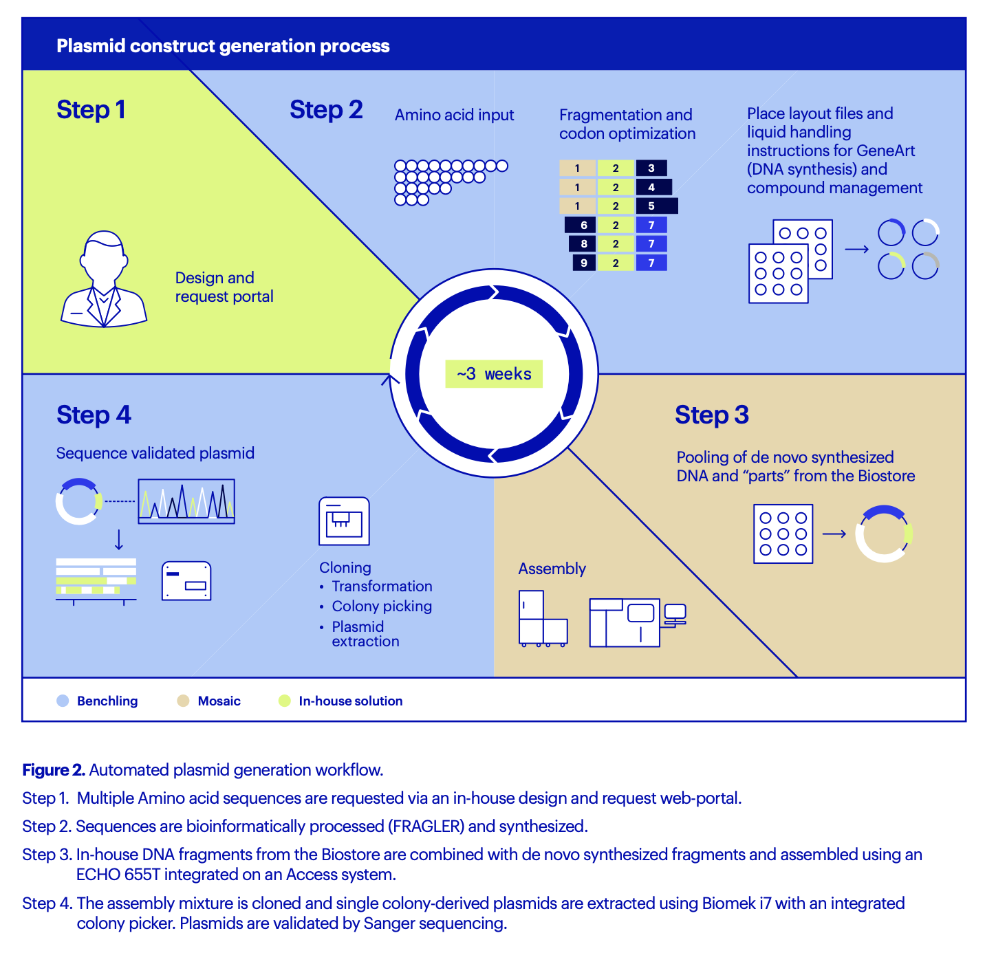 Plasmid construct generation process