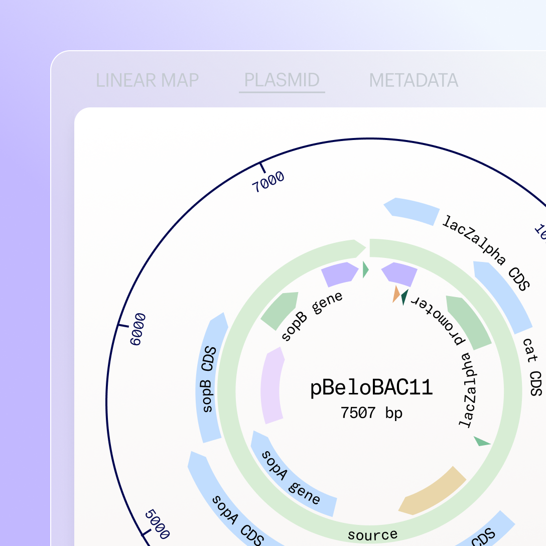 Access Tools - Design Biomolecules Product Image