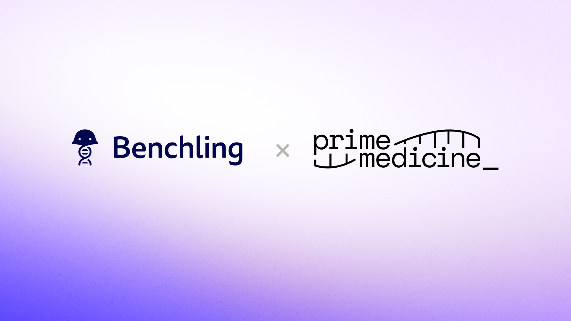 Prime Medicine blog header