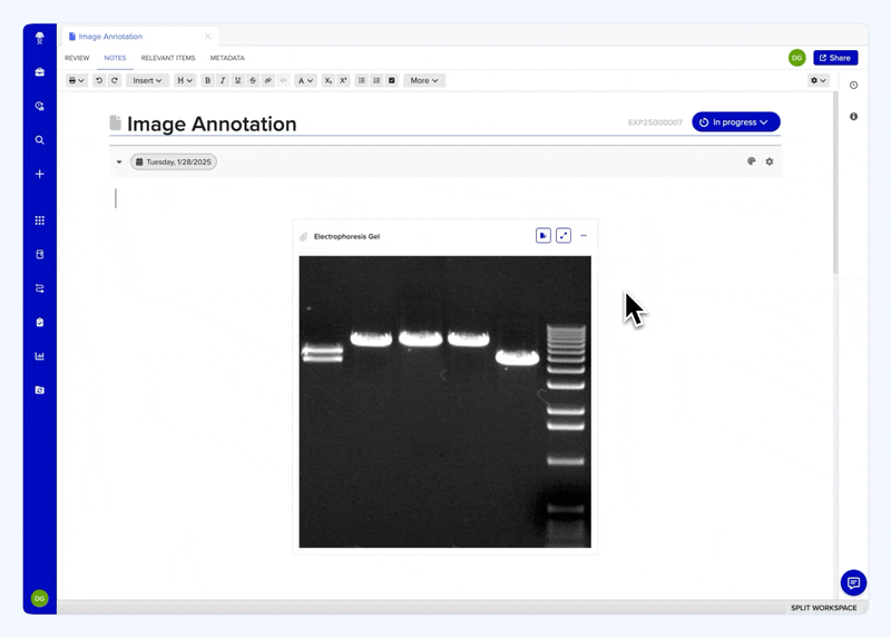 Notable in Notebook: Image annotation