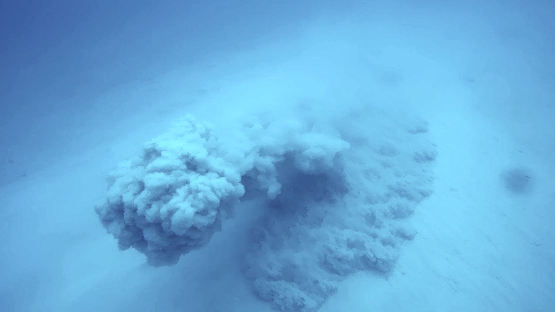 dca-hdd-sediment-plume
