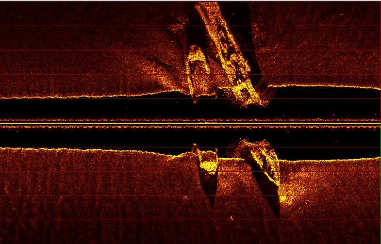 side scan sonar screenshot
