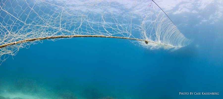 Everything You Need to Know about Ghost Fishing