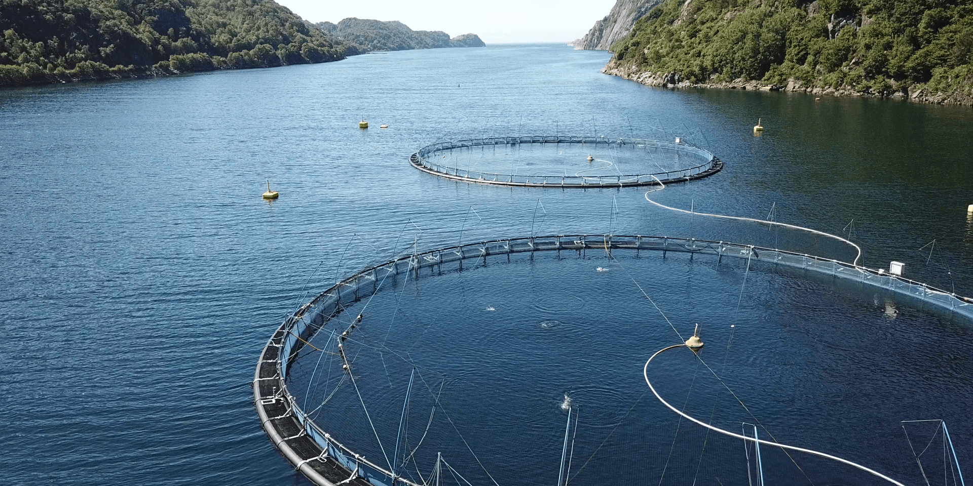 Offshore aquaculture fish farm (article image)