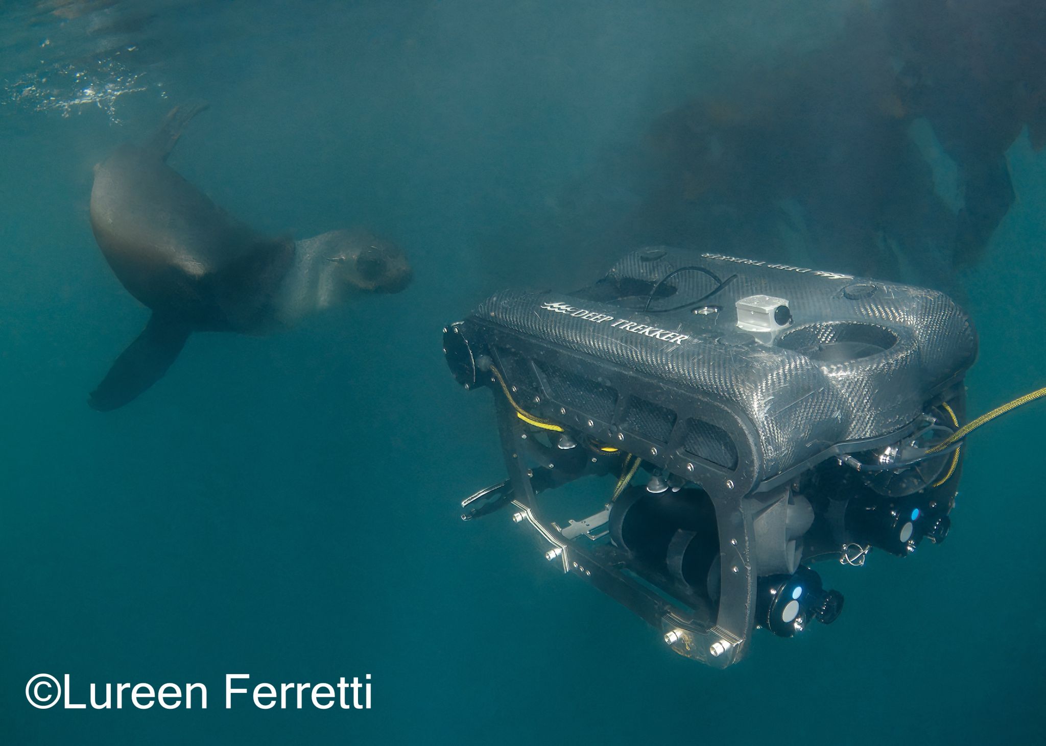 swx-2026-pivot-rov-seal