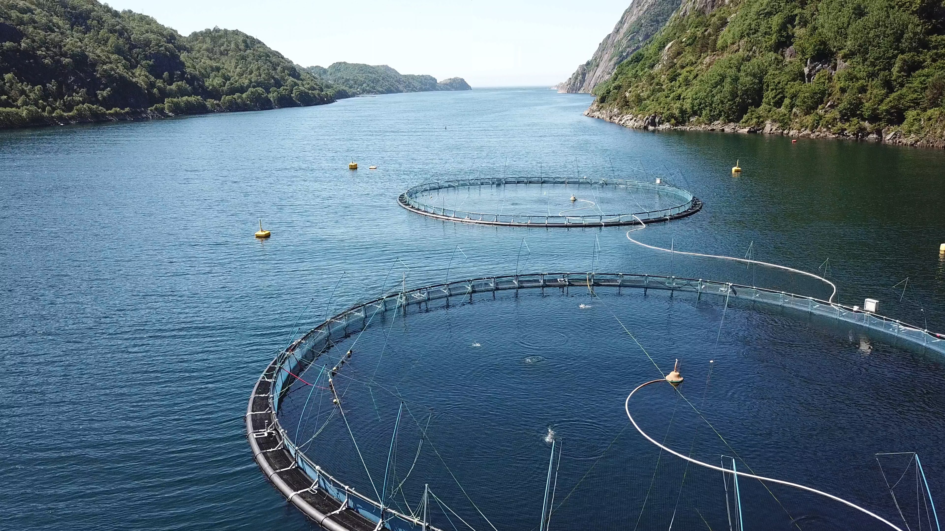 Aquaculture Norway