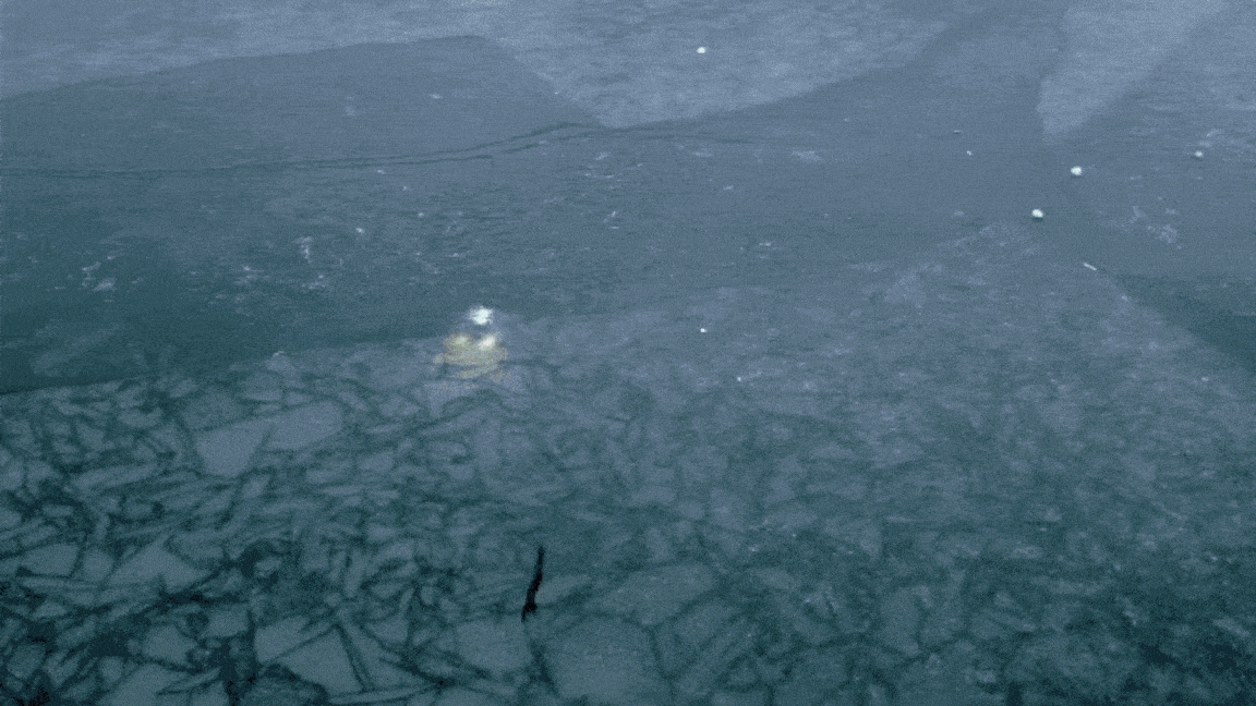 Products that last GIF