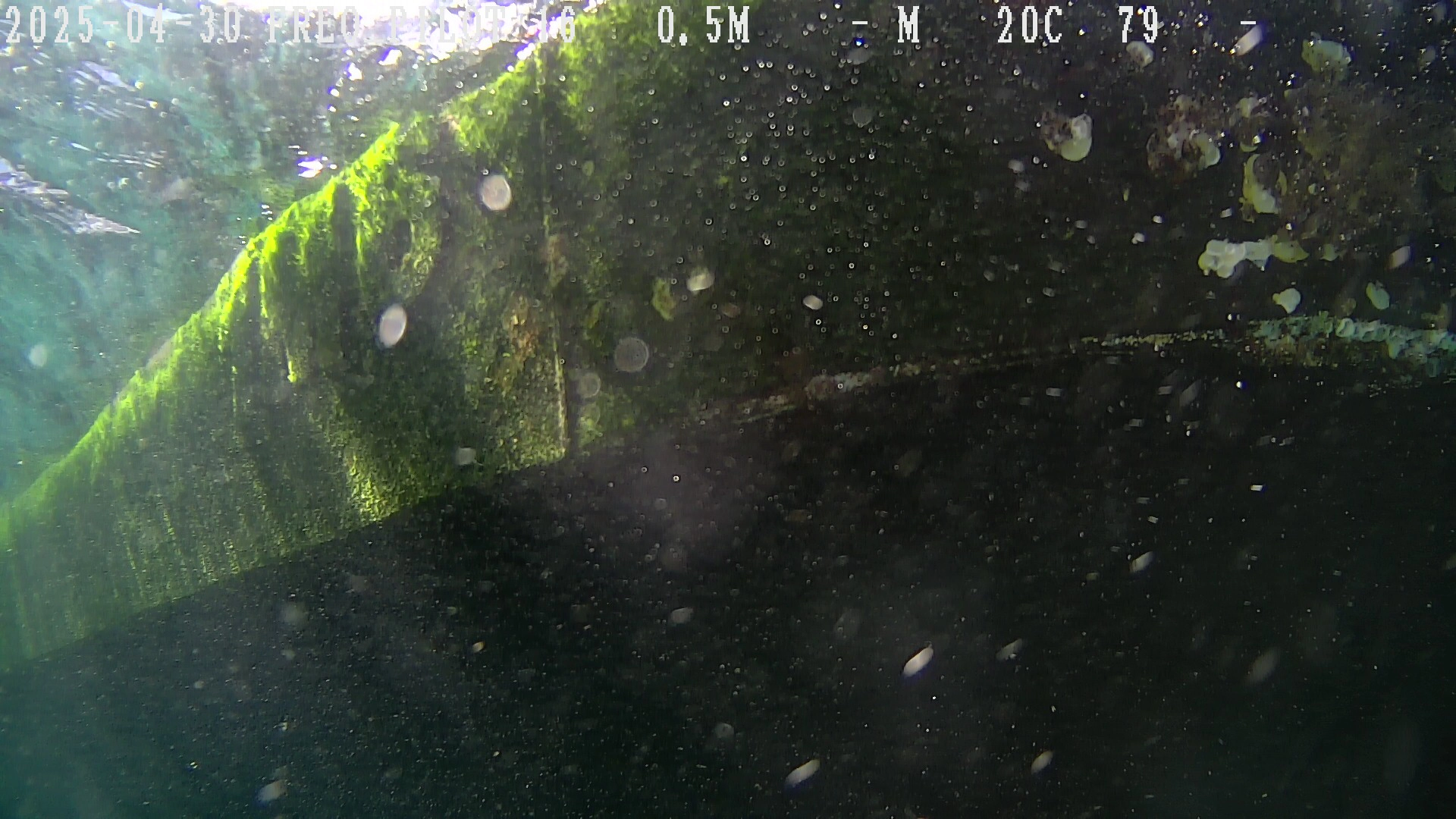 Franmarine - Underwater Inspection Closeup