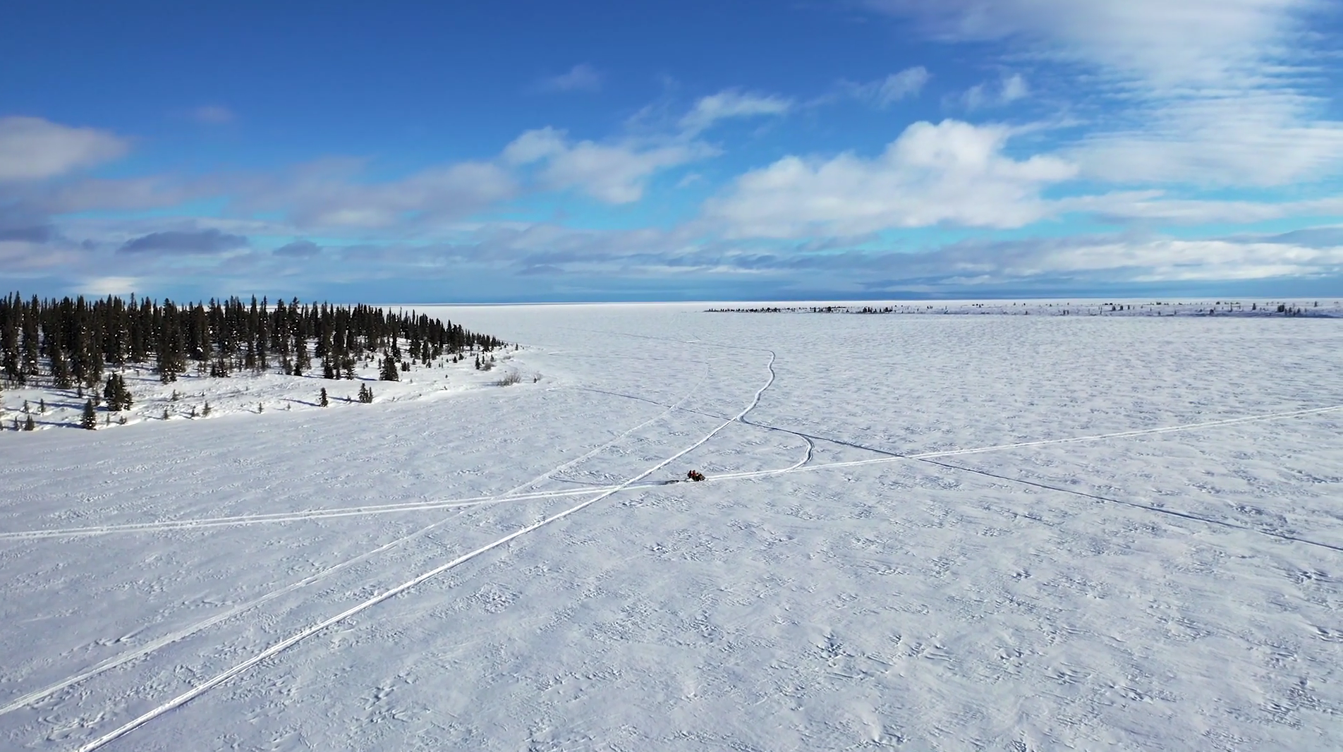 Artic