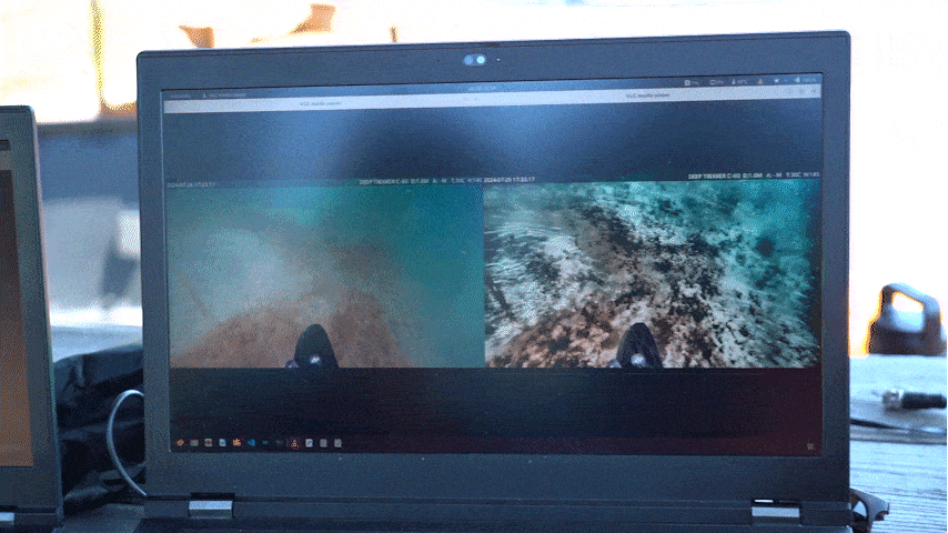 Showing 4k cam and Turbidity filtering GIF