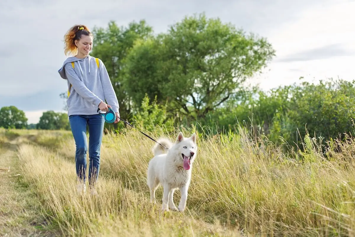 Side hustle for teens: A teenage girl walks a dog outside