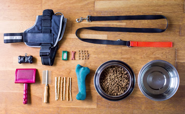 Should I get a dog? Supplies for dogs can add up - from leashes to food and treats