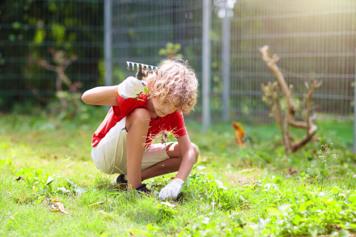 Chores for 7-year-olds: A young boy does yardwork with a small rake