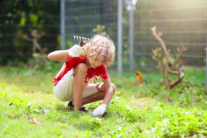 Chores for 7-year-olds: A young boy does yardwork with a small rake