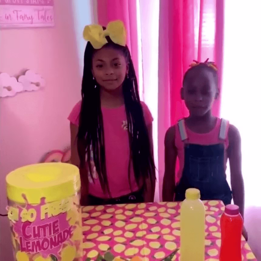 two young girls at a lemonade stand