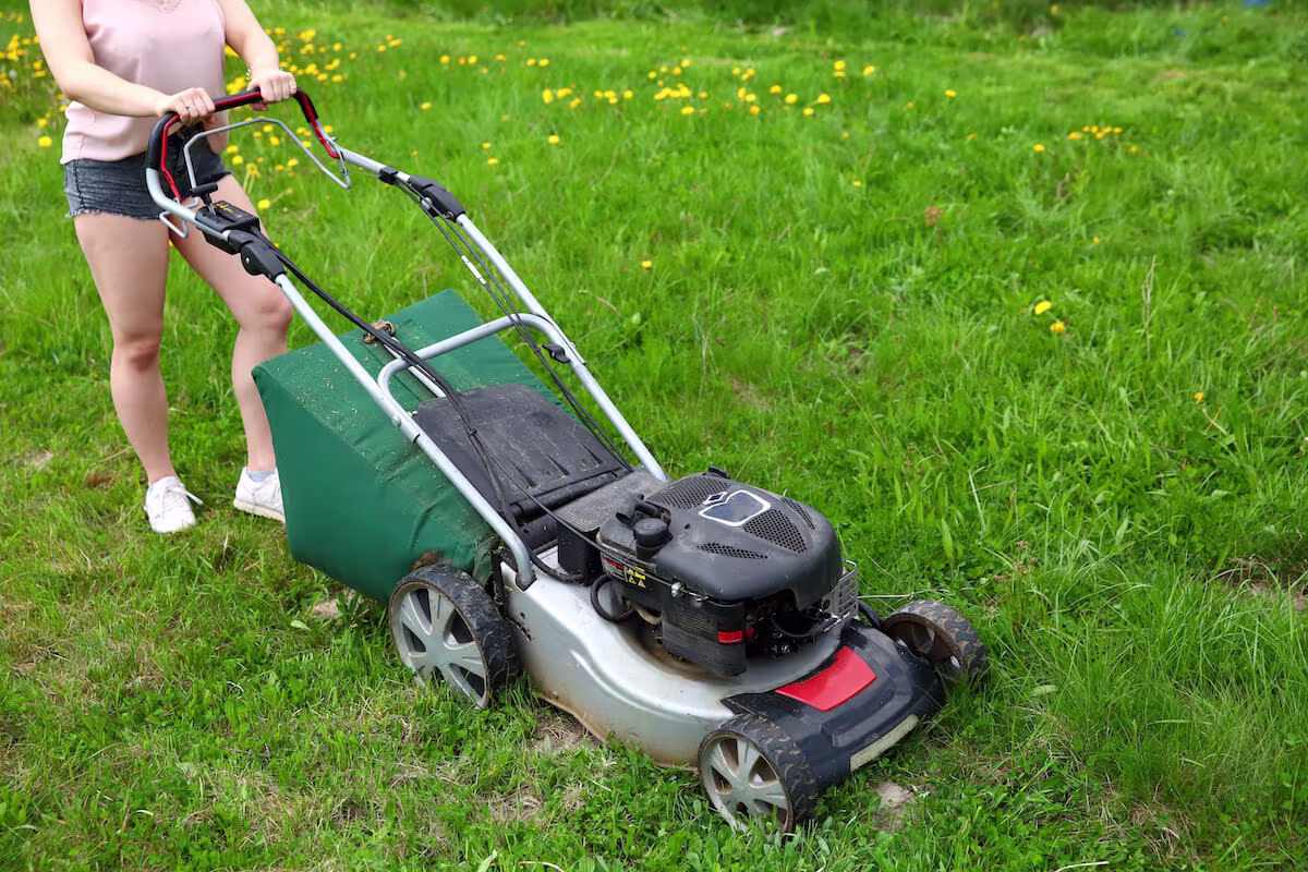 Person mowing a lawn