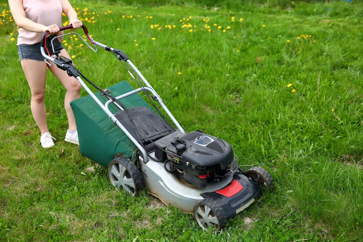 Person mowing a lawn