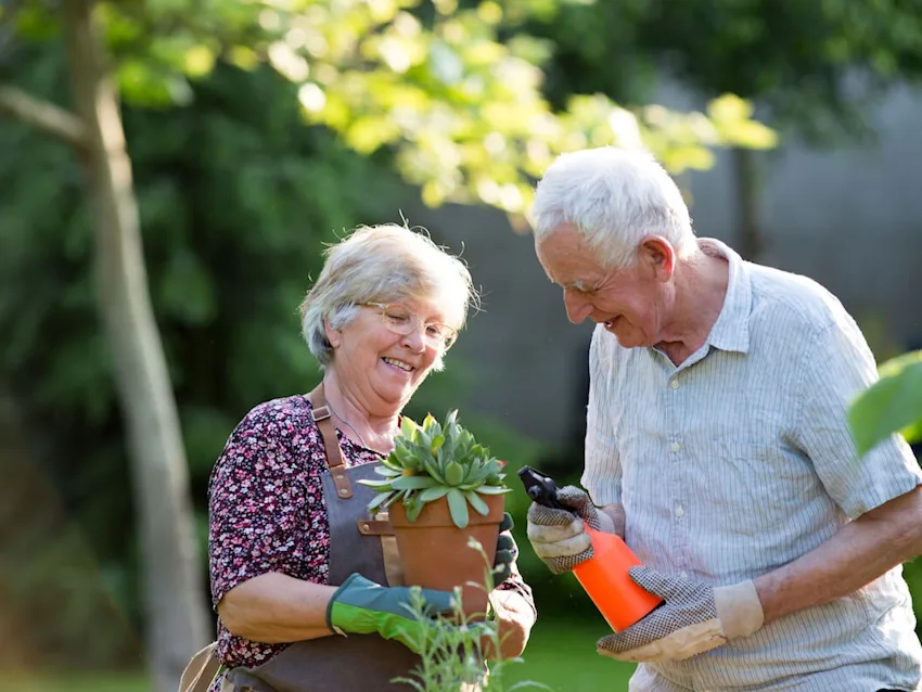Senior couple watering plants in the yard.