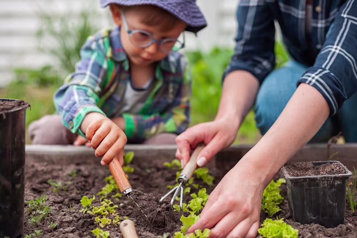Siblings planting vegetables