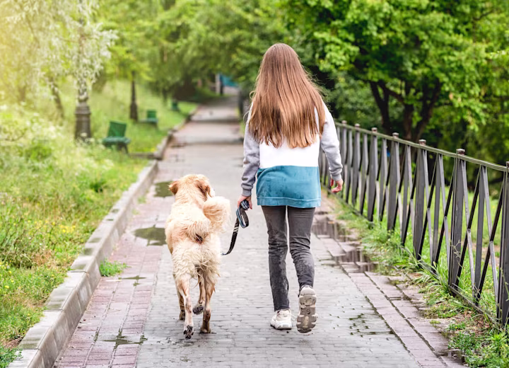 Summer jobs for teens: girl walking a dog