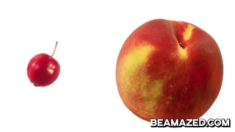 Foods That Originally Looked Totally Different peach 