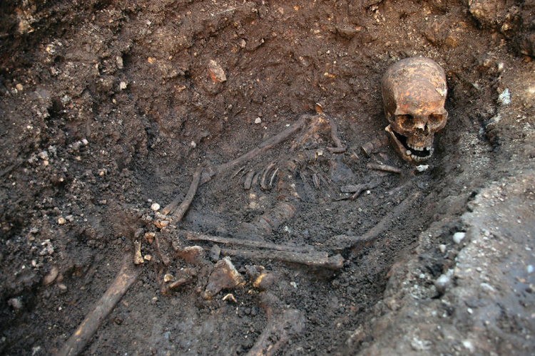 Amazing Discoveries Made By Construction Workers King Richard III 