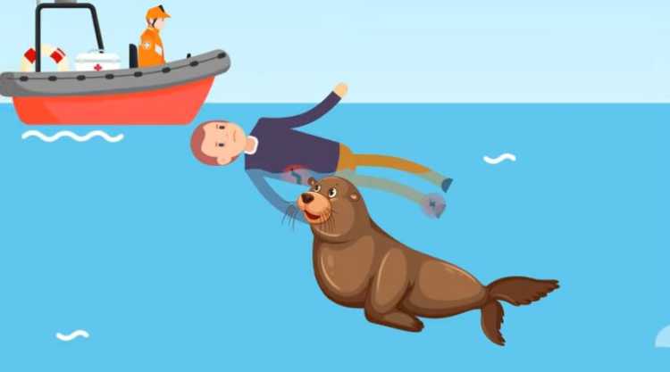 Sea Lion Saves man drowning Kevin Hines San Francisco’s Golden Gate Bridge