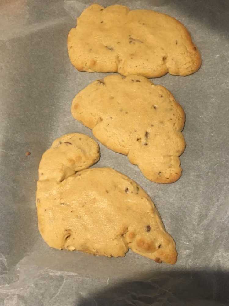 dino cookie disaster
