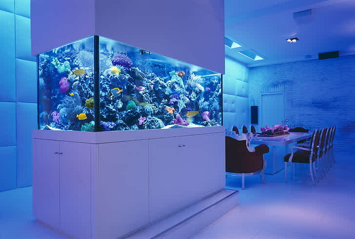 Kitchen Aquarium Storage
