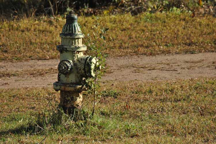 Scary Ways Governments Control Your Behavior Stubbies fire hydrant